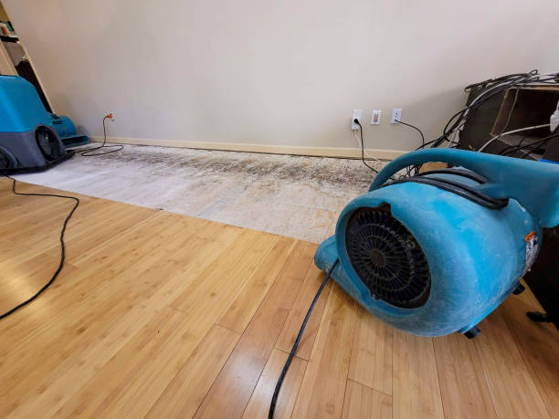 Professional Structural Drying technician working in Alpine, UT